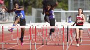 oal-hurdles