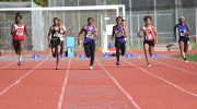 bulldog-sprinters